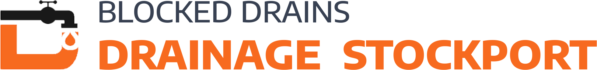 website logo